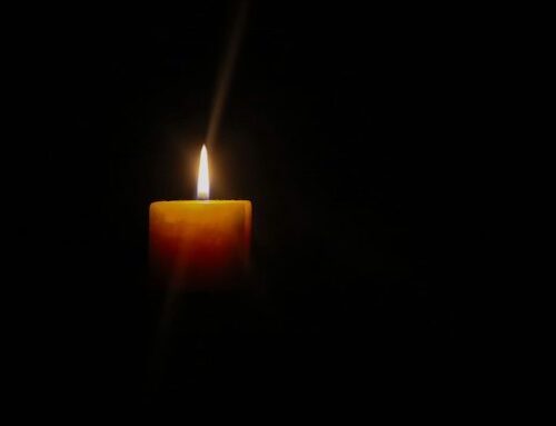 Trauer nach dem Tod – und was meist am Anfang kommt